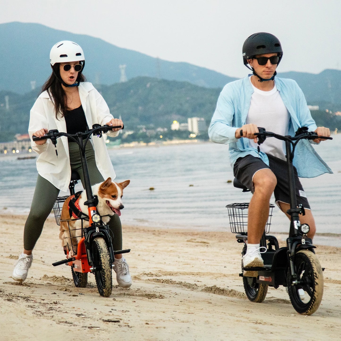 Multi-Shock Absorption Adult Electric Bicycle 48V 500W Carbon Steel 14"Road tires With Basket