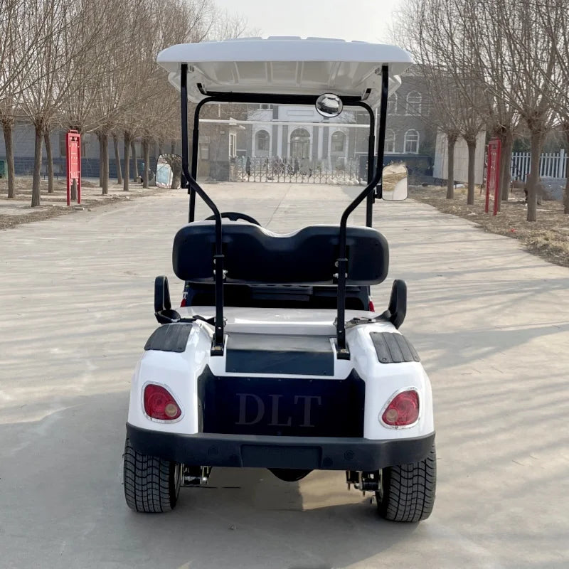 The Best Street Legal Choice 2 4 Passenger Classic Fuel Off-Road Golf Cart Battery Powered Big Wheel Golf Cart