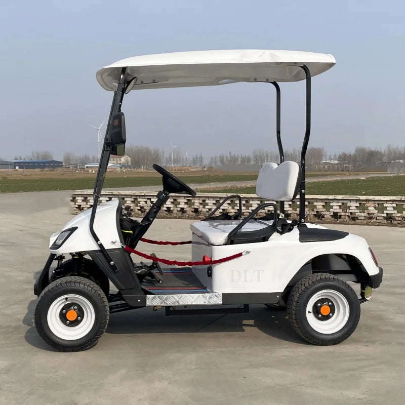 The Best Street Legal Choice 2 4 Passenger Classic Fuel Off-Road Golf Cart Battery Powered Big Wheel Golf Cart
