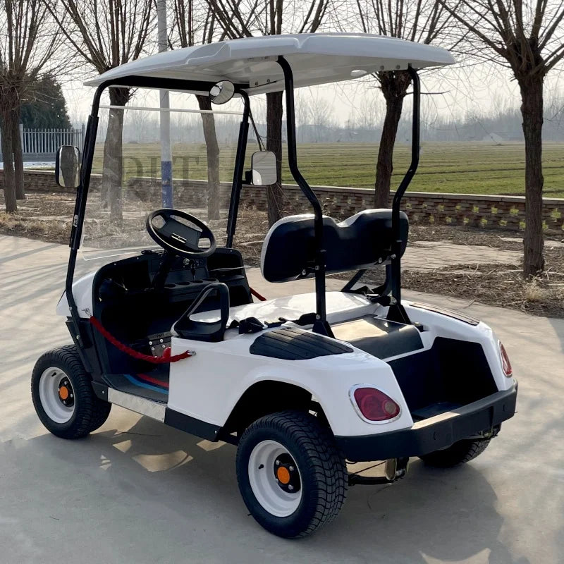The Best Street Legal Choice 2 4 Passenger Classic Fuel Off-Road Golf Cart Battery Powered Big Wheel Golf Cart