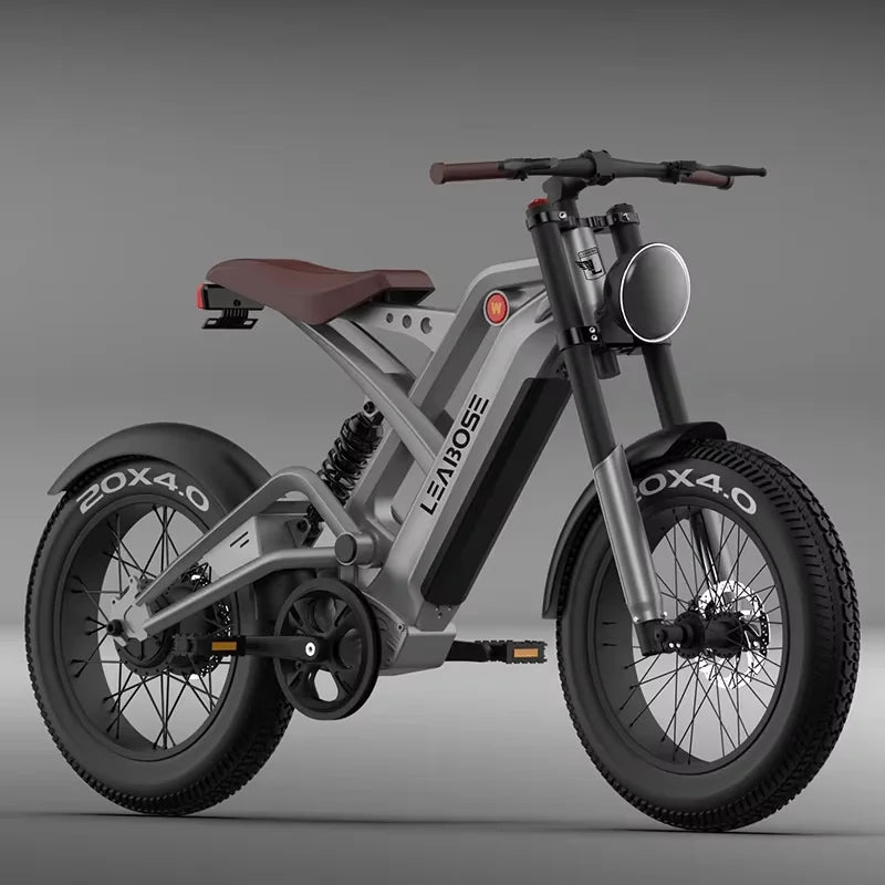 2025 New Style Fashion Electric City Bike 20Inch 1000W Electric Bicycle Adults 48V Electric Fat Tire Bike
