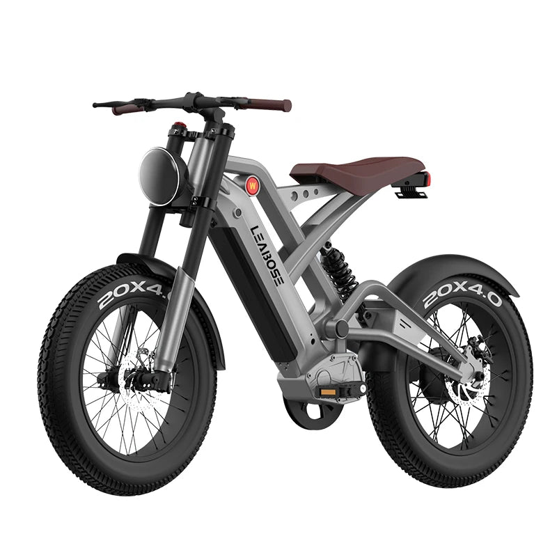 2025 New Style Fashion Electric City Bike 20Inch 1000W Electric Bicycle Adults 48V Electric Fat Tire Bike