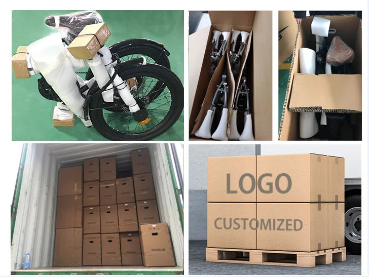 2025 New Style Fashion Electric City Bike 20Inch 1000W Electric Bicycle Adults 48V Electric Fat Tire Bike