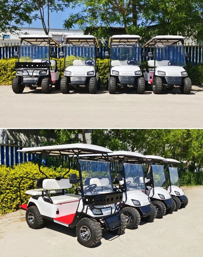 The Best Street Legal Choice 2 4 Passenger Classic Fuel Off-Road Golf Cart Battery Powered Big Wheel Golf Cart