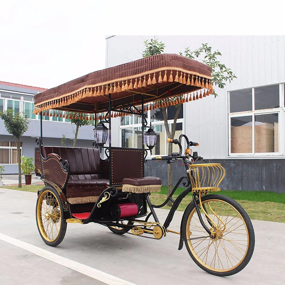 High Quality Pedicab Rickshaw Electric Pedal Three Wheels Dutch Cargo Bike No Electric Bakfiet Courier Goods Tricycle