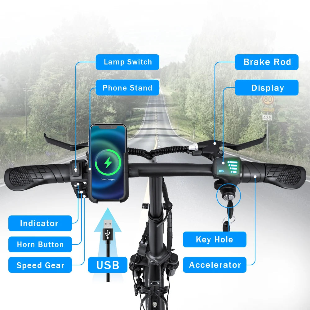Peak Motor Folding E-Bike