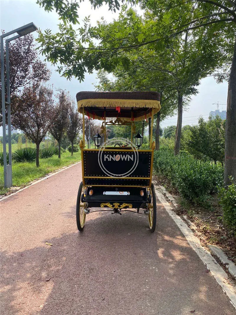 High Quality Pedicab Rickshaw Electric Pedal Three Wheels Dutch Cargo Bike No Electric Bakfiet Courier Goods Tricycle