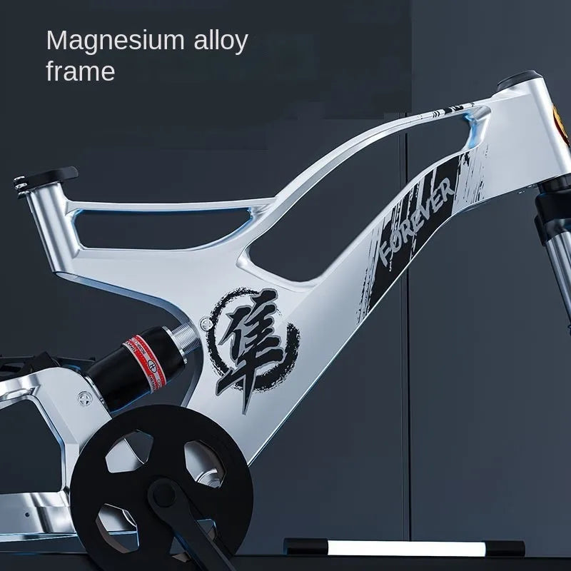 Fixed Gear Fatbike Bicicleta Mtb 29 Gravelbike Velo Route Bicycle Mainland China Mountain Bike Magnesium Alloy Magnesium Alloy