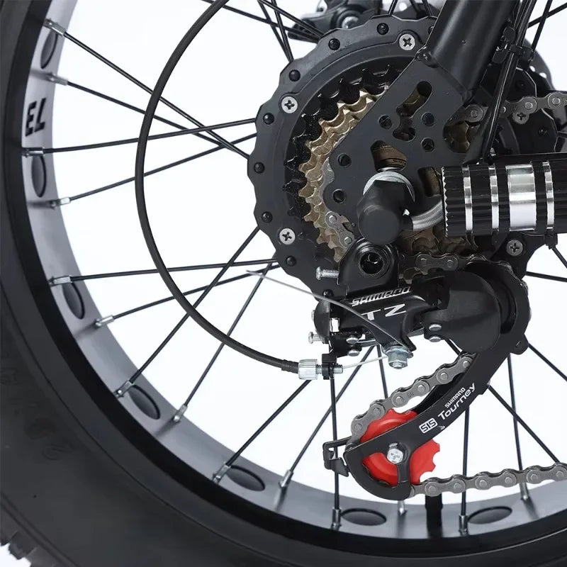mountain snow adult electric motorcycle 20*4.0 inch fat tire off-road