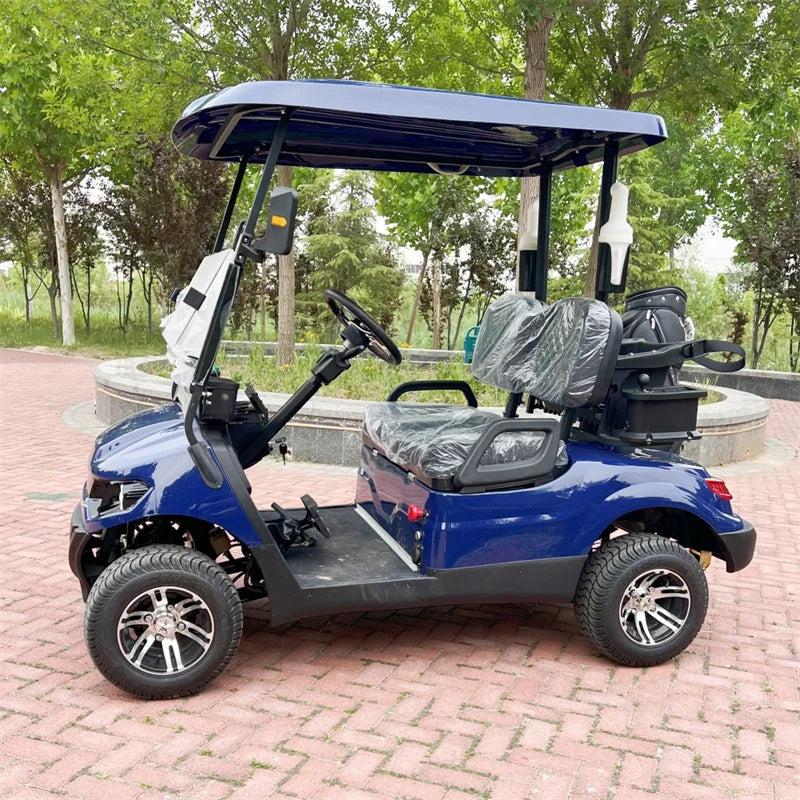 CE Approved 2 Seater Electric Golf Car For Tourist Electric Golf Cart With Golf Bag Holder