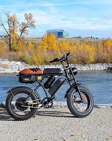 Fat Tire Moped E-Bike