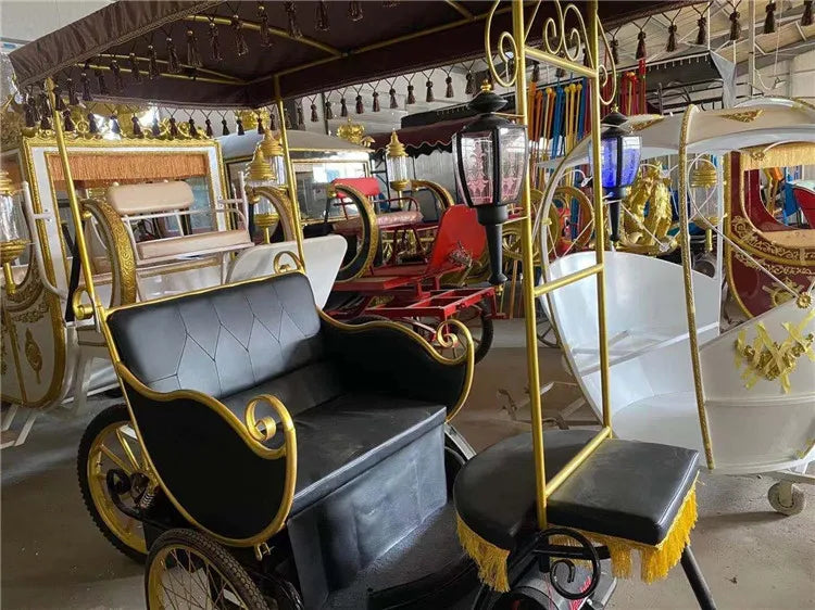 High Quality Pedicab Rickshaw Electric Pedal Three Wheels Dutch Cargo Bike No Electric Bakfiet Courier Goods Tricycle