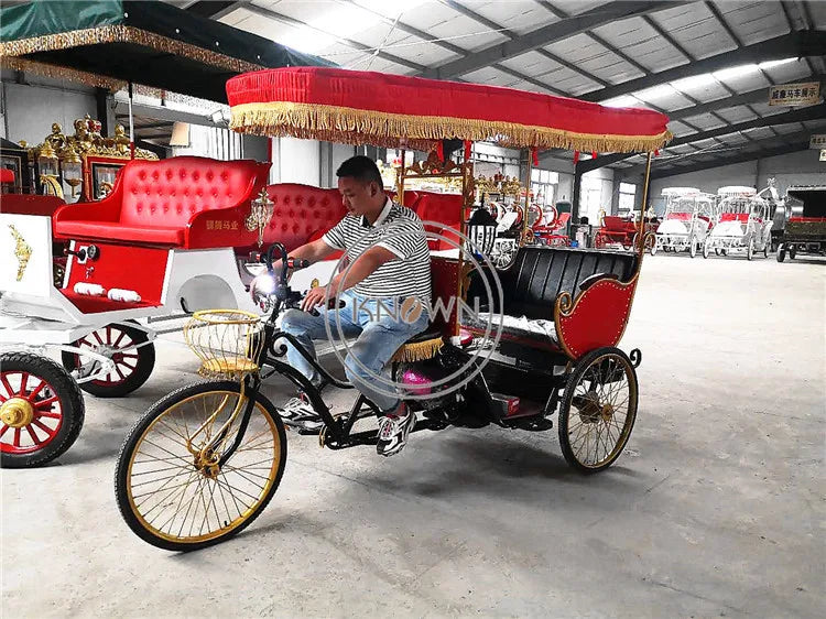 High Quality Pedicab Rickshaw Electric Pedal Three Wheels Dutch Cargo Bike No Electric Bakfiet Courier Goods Tricycle