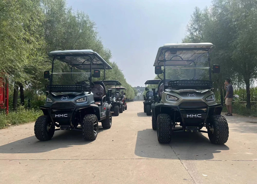 Sale 2 4 6 8 Seats Utility Vehicle48V/72V Off-road Buggy Utility Cart Park 4000/5000/7000W Electric Golf Scooter Cart