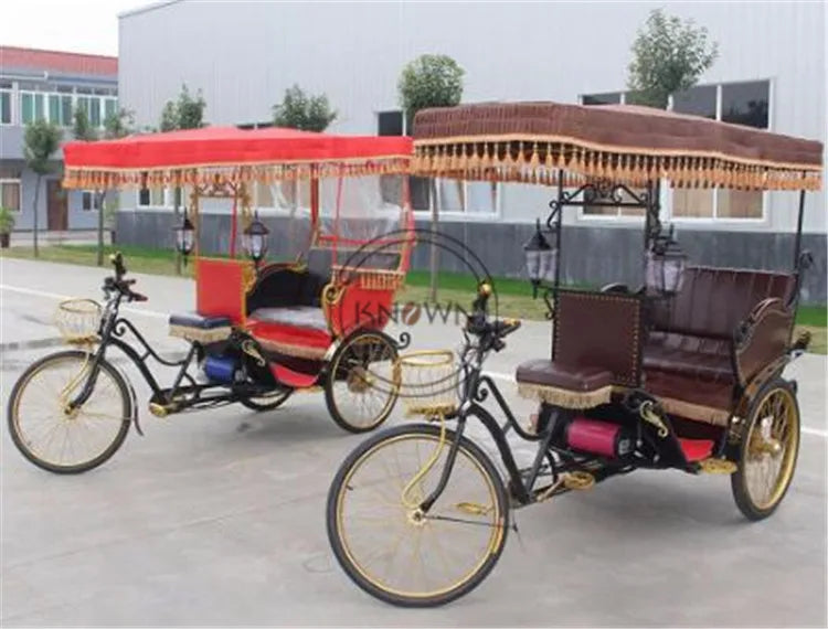 High Quality Pedicab Rickshaw Electric Pedal Three Wheels Dutch Cargo Bike No Electric Bakfiet Courier Goods Tricycle