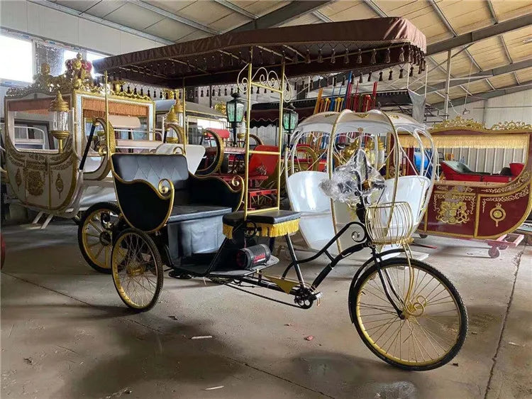 High Quality Pedicab Rickshaw Electric Pedal Three Wheels Dutch Cargo Bike No Electric Bakfiet Courier Goods Tricycle