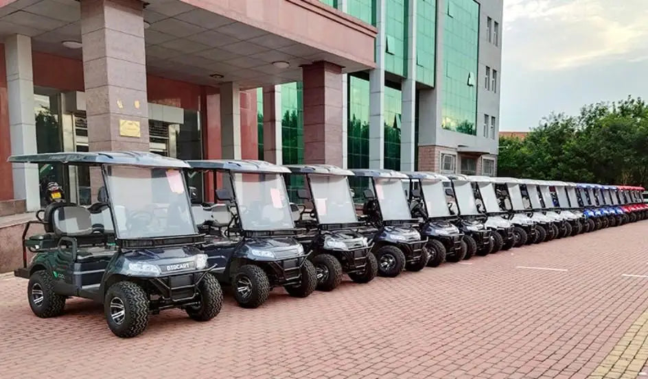 CE Approved 2 Seater Electric Golf Car For Tourist Electric Golf Cart With Golf Bag Holder