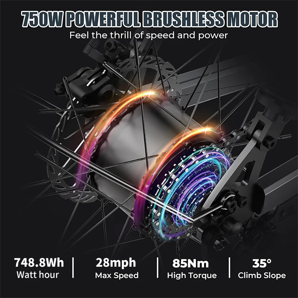 Removable Battery ,Max 60Miles Mountain Electric Bicycle,20'' Fat Tire City
