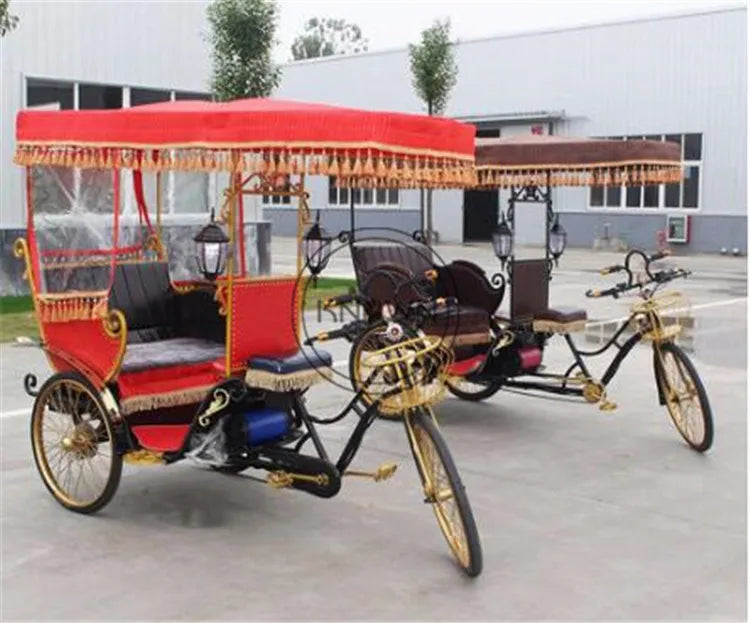 High Quality Pedicab Rickshaw Electric Pedal Three Wheels Dutch Cargo Bike No Electric Bakfiet Courier Goods Tricycle