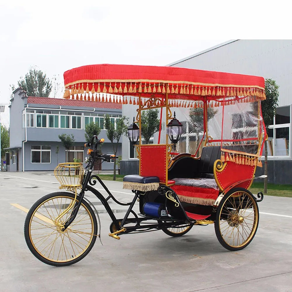 High Quality Pedicab Rickshaw Electric Pedal Three Wheels Dutch Cargo Bike No Electric Bakfiet Courier Goods Tricycle