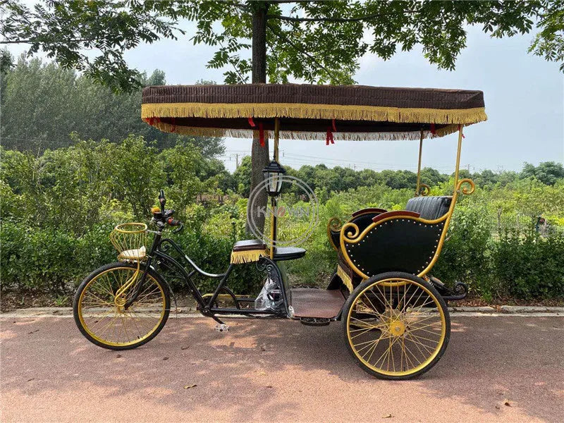 High Quality Pedicab Rickshaw Electric Pedal Three Wheels Dutch Cargo Bike No Electric Bakfiet Courier Goods Tricycle