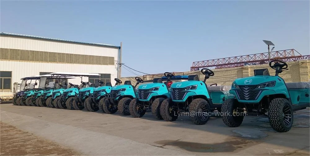 New Selling 2024 off Road Golf Cart 4 Passenger Street Legal Utility Tourist Beach Buggy Gasoline Golf Cart