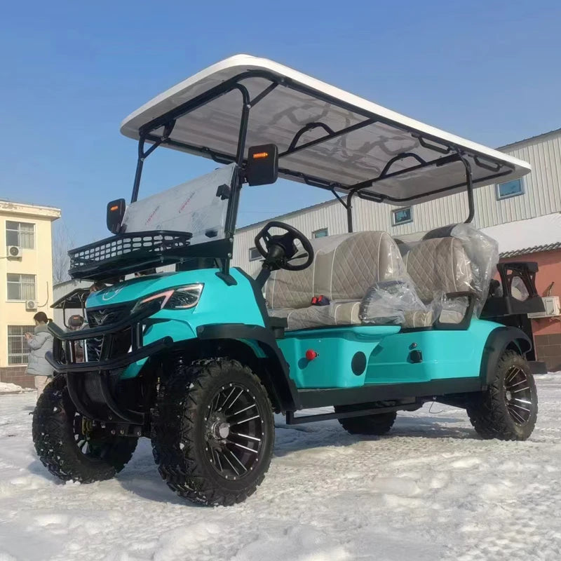 Wholesale China Color Logo Custom Club 4 Seats Car Electric and Gasoline Golf Carts Electric Powered Red 2+2 Seats for Sale
