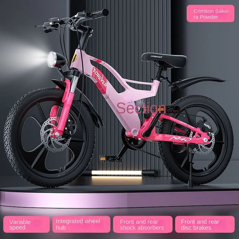 Fixed Gear Fatbike Bicicleta Mtb 29 Gravelbike Velo Route Bicycle Mainland China Mountain Bike Magnesium Alloy Magnesium Alloy