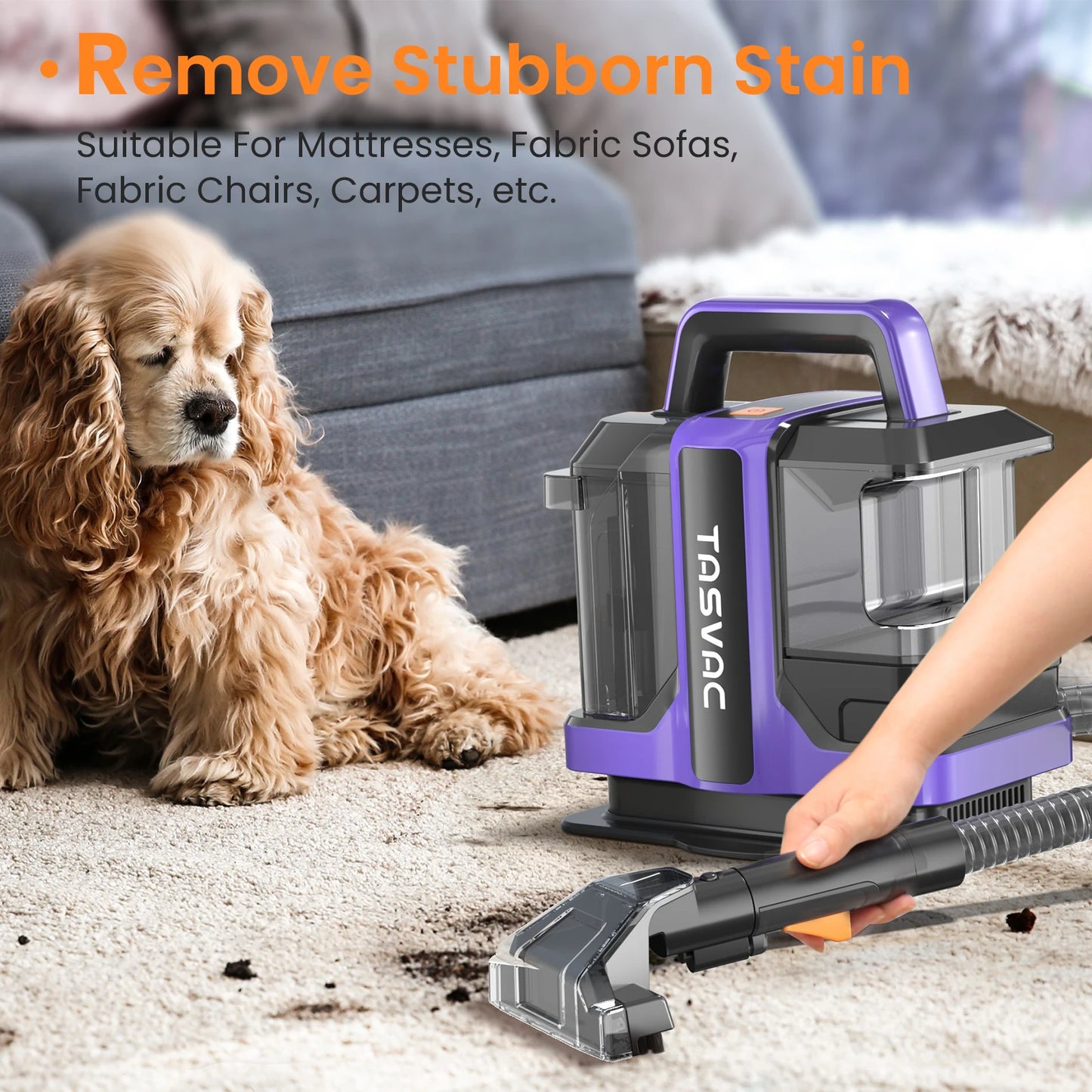 Portable Carpet & Upholstery Cleaner Machine, Spot And Stain Deep Cleaner
