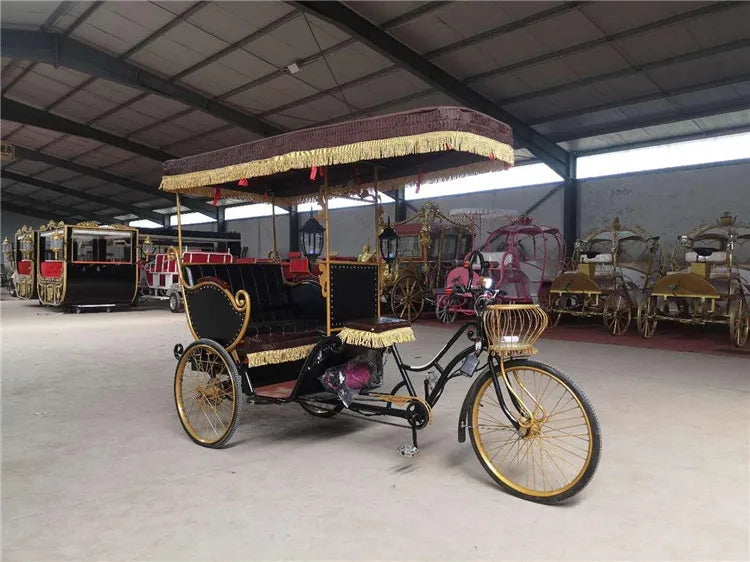 High Quality Pedicab Rickshaw Electric Pedal Three Wheels Dutch Cargo Bike No Electric Bakfiet Courier Goods Tricycle
