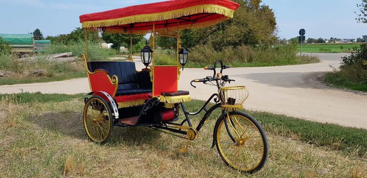 High Quality Pedicab Rickshaw Electric Pedal Three Wheels Dutch Cargo Bike No Electric Bakfiet Courier Goods Tricycle