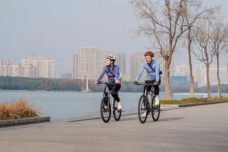 Bicycle booster, rechargeable self-propelled device, bicycle explosion modification, labor-saving booster