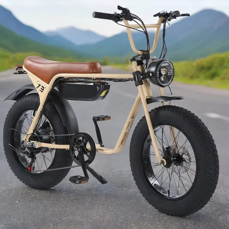 mountain snow adult electric motorcycle 20*4.0 inch fat tire off-road