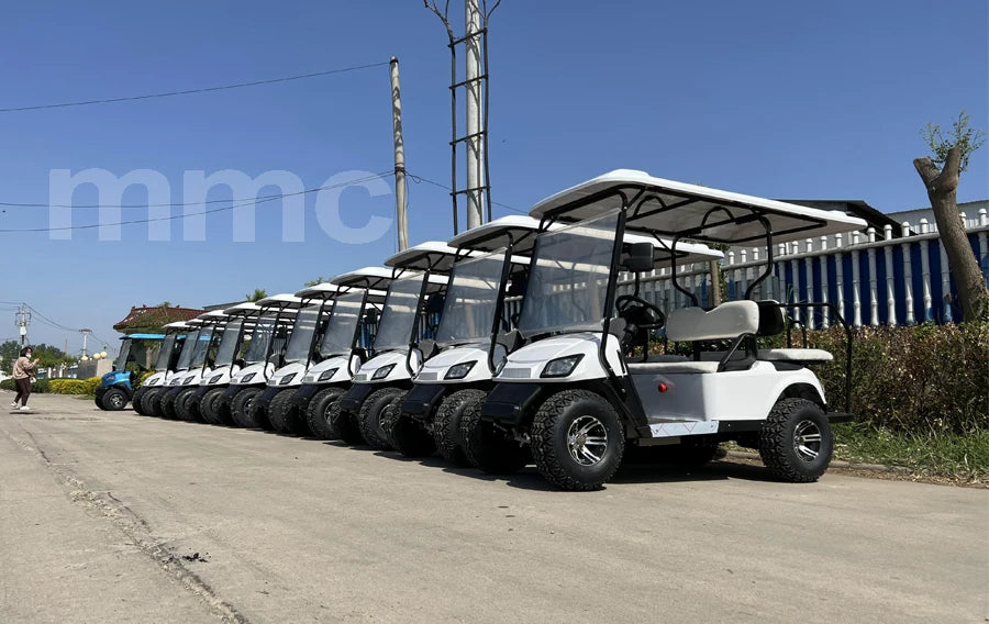 Sale 2 4 6 8 Seats Utility Vehicle48V/72V Off-road Buggy Utility Cart Park 4000/5000/7000W Electric Golf Scooter Cart