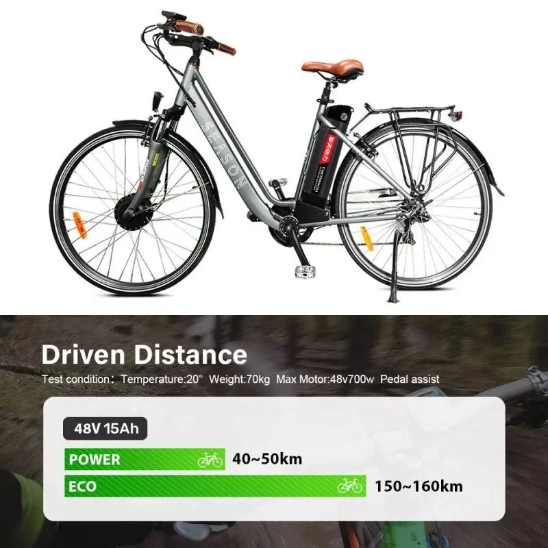 48V 20Ah 15Ah Silverfish Lithium Electric Bike 1000W 500W 24V 36V Lithium Ion Electric Bike Bicycle 48V18650Battery Pack+Charger