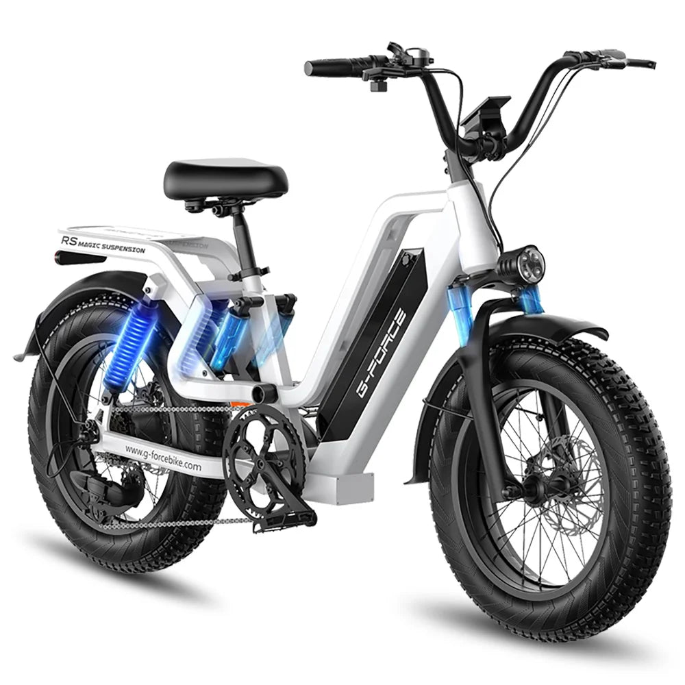 Removable Battery ,Max 60Miles Mountain Electric Bicycle,20'' Fat Tire City