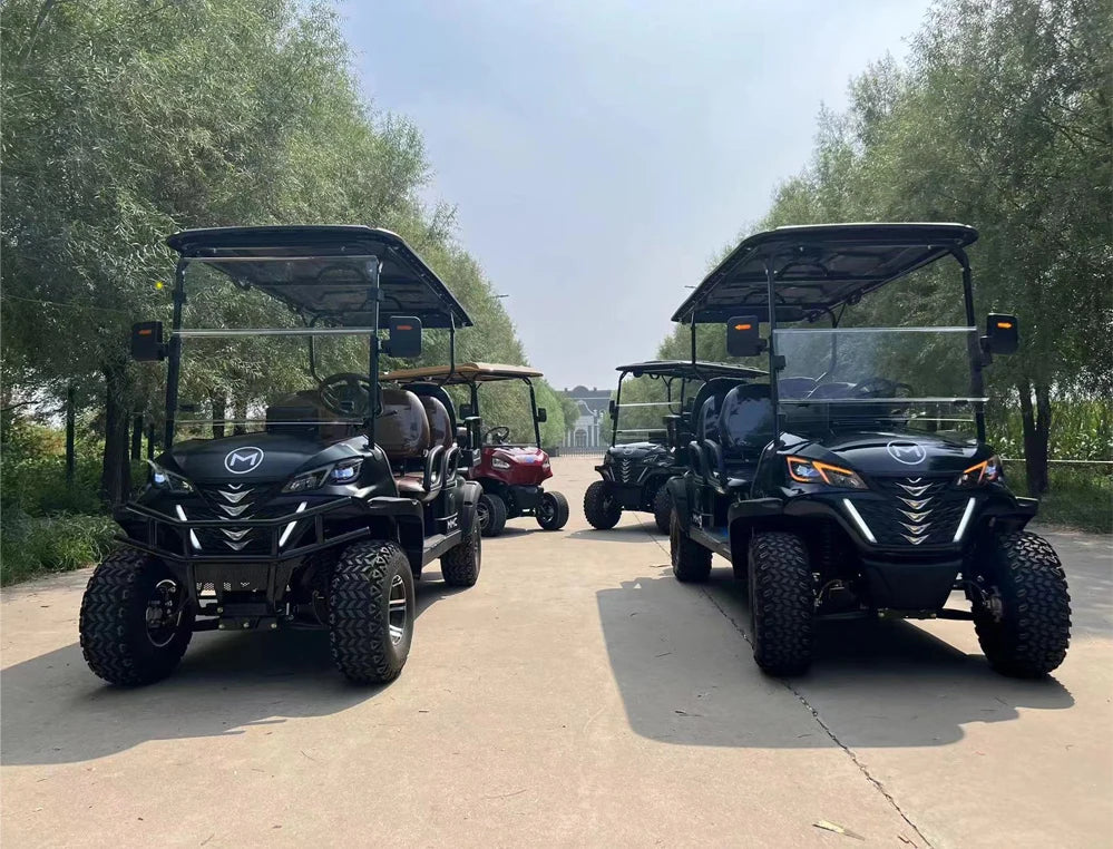 Sale 2 4 6 8 Seats Utility Vehicle48V/72V Off-road Buggy Utility Cart Park 4000/5000/7000W Electric Golf Scooter Cart