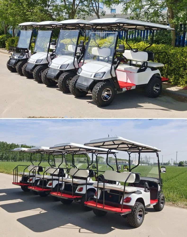 The Best Street Legal Choice 2 4 Passenger Classic Fuel Off-Road Golf Cart Battery Powered Big Wheel Golf Cart