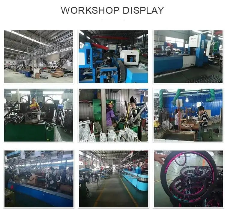 350w 48v Electric Bike 12ah Rear Hub Motor Electric Scooters City Ladies Lightweight E BikeBicycle 14*2.50 Vacuum Tire
