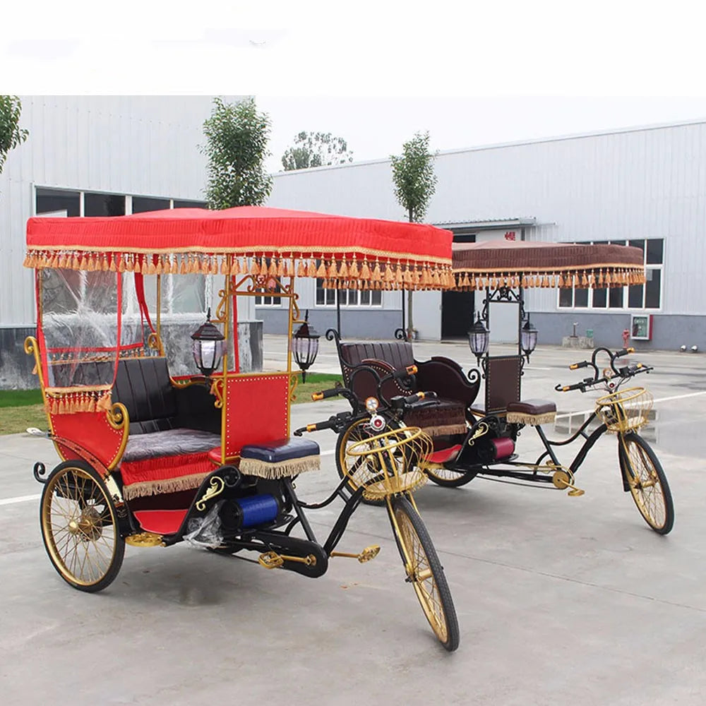High Quality Pedicab Rickshaw Electric Pedal Three Wheels Dutch Cargo Bike No Electric Bakfiet Courier Goods Tricycle
