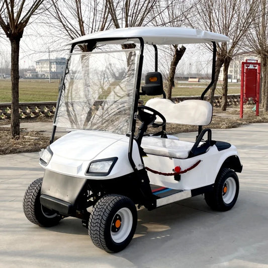 The Best Street Legal Choice 2 4 Passenger Classic Fuel Off-Road Golf Cart Battery Powered Big Wheel Golf Cart