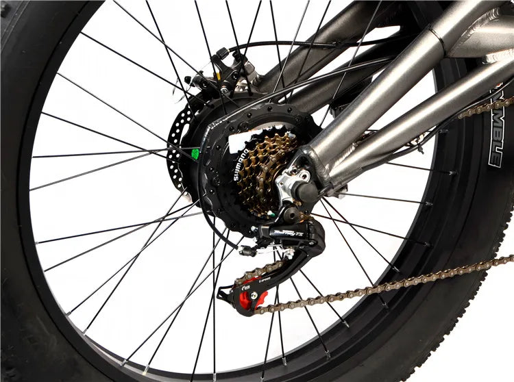 2025 New Style Fashion Electric City Bike 20Inch 1000W Electric Bicycle Adults 48V Electric Fat Tire Bike