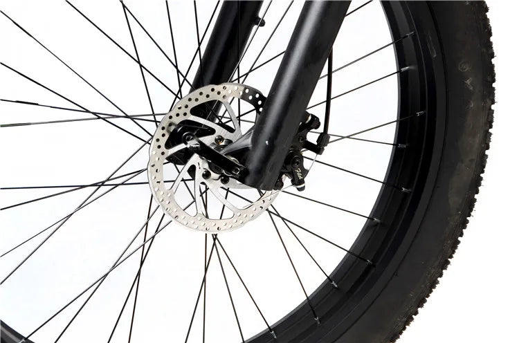 2025 New Style Fashion Electric City Bike 20Inch 1000W Electric Bicycle Adults 48V Electric Fat Tire Bike