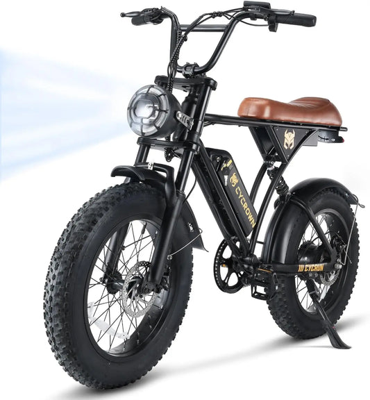 Fat Tire Moped E-Bike