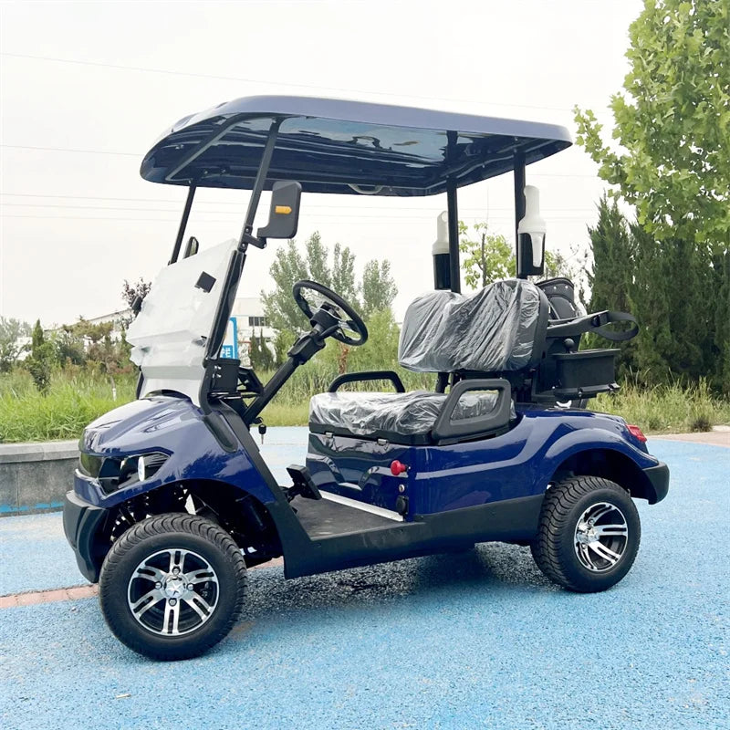 CE Approved 2 Seater Electric Golf Car For Tourist Electric Golf Cart With Golf Bag Holder
