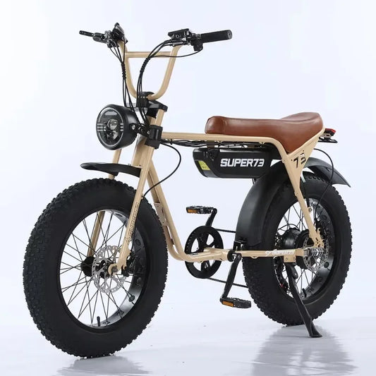 mountain snow adult electric motorcycle 20*4.0 inch fat tire off-road