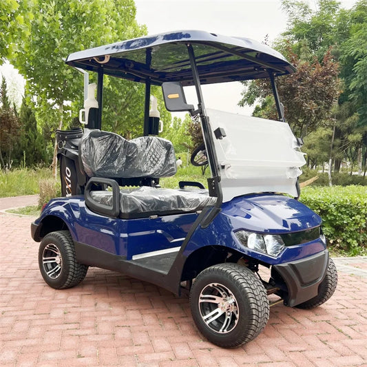 CE Approved 2 Seater Electric Golf Car For Tourist Electric Golf Cart With Golf Bag Holder